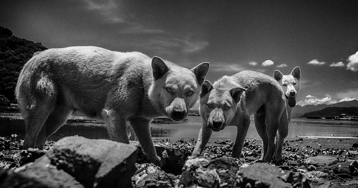 東京カメラ部特別企画 トークステージ：写真家 立木義浩氏 × アート