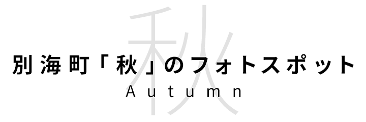 別海町「秋」のフォトスポット