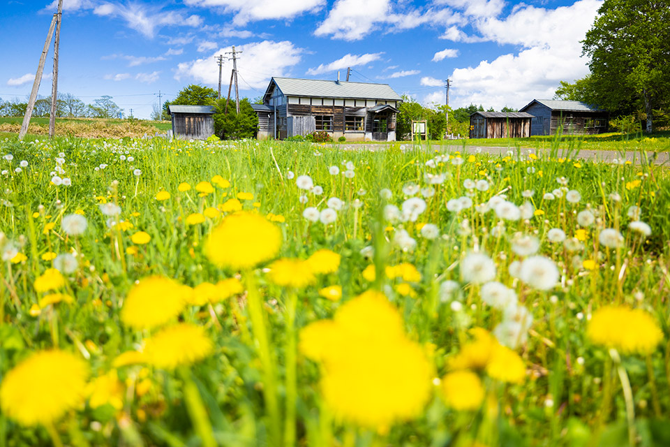 奥行臼駅　夏のおすすめフォト1