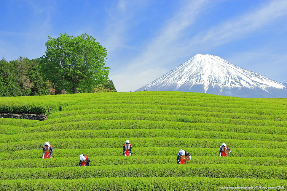東京カメラ部、「写真好きによる日本全国の撮影地人気ランキング」2024年データを更新! 写真好きに最も人気の都道府県とは?