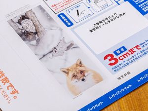 日本郵便株式会社および北海道東川町と連携し、東川町の風景写真をあしらった特別デザインのレターパックライトの制作に協力しました