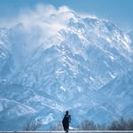 _____mimosa.619_____