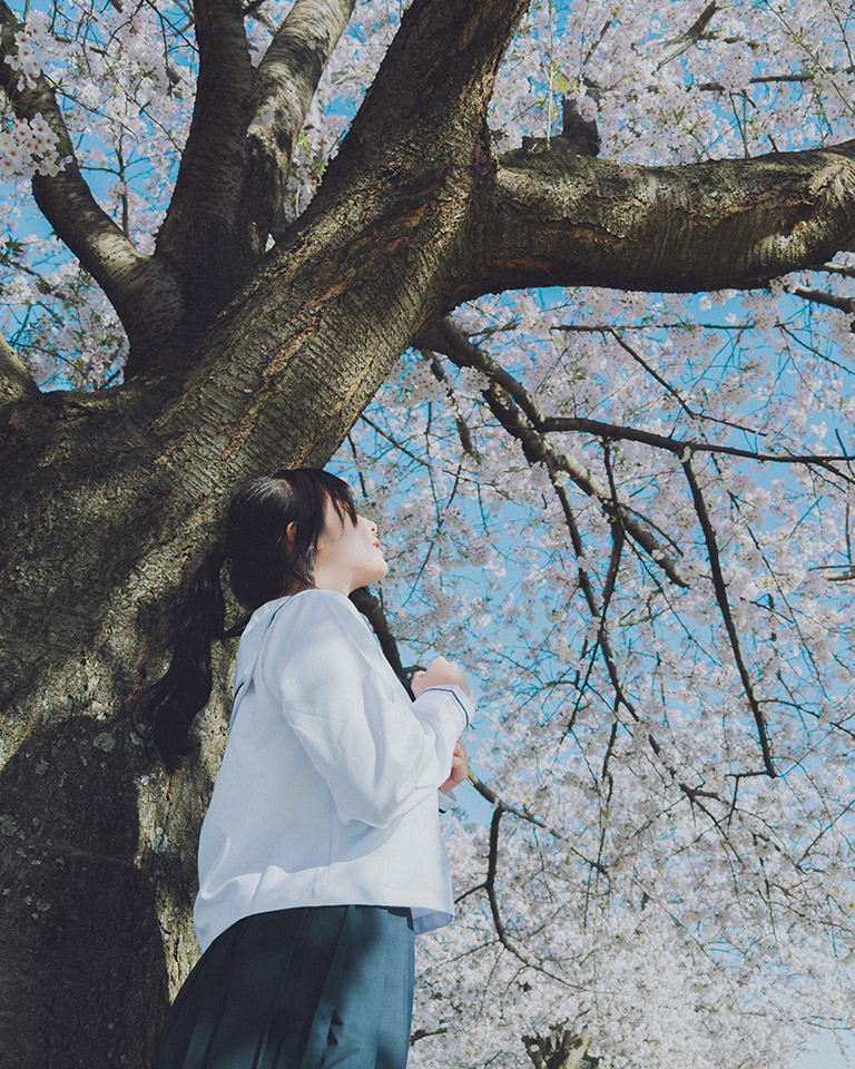 佳作スマホ部門　haduki_ruさんの作品「見上げた未来」