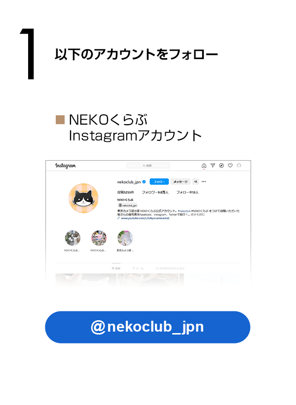 《主催者》公式Instagramアカウントをフォロー