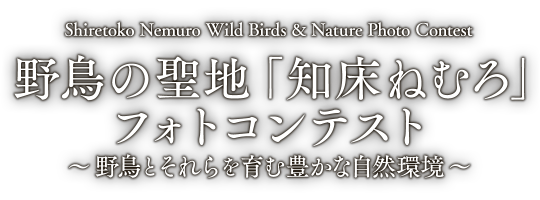 野鳥の聖地「知床ねむろ」フォトコンテスト ～野鳥とそれらを育む豊かな自然環境～