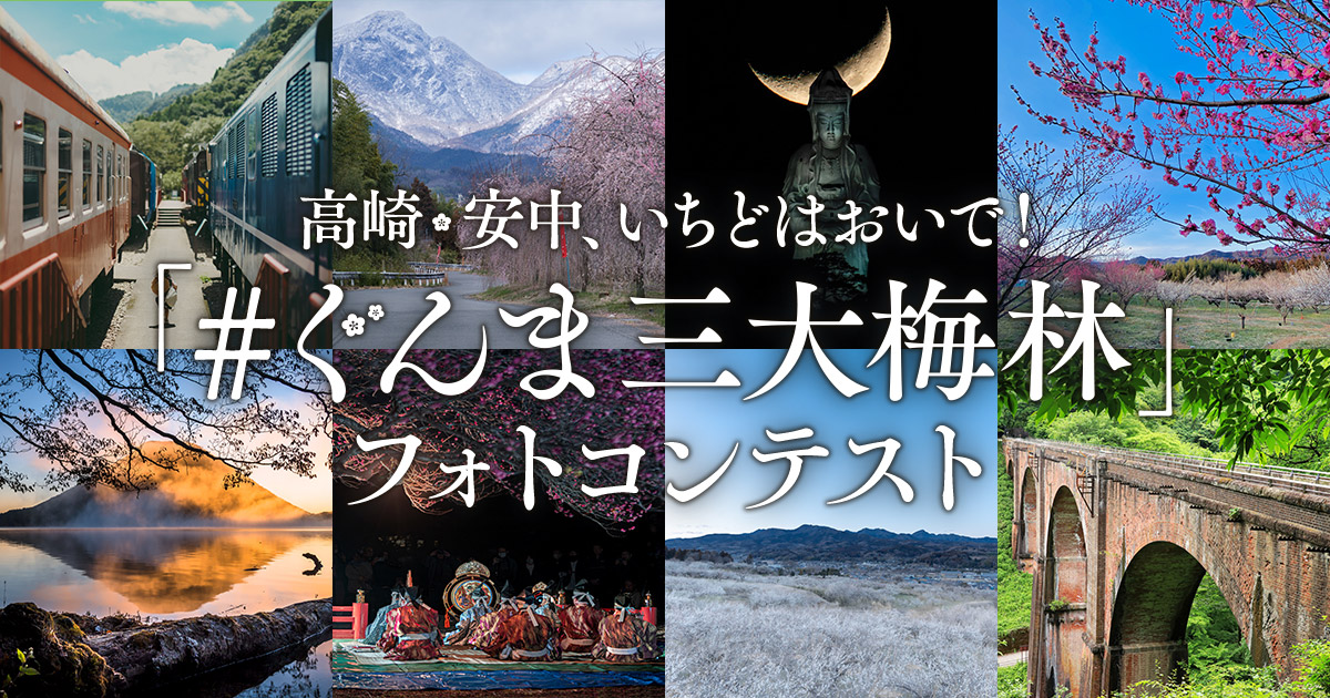 高崎・安中、いちどはおいで！「#ぐんま三大梅林」フォトコンテスト｜ぐんま三大梅林振興会議×東京カメラ部