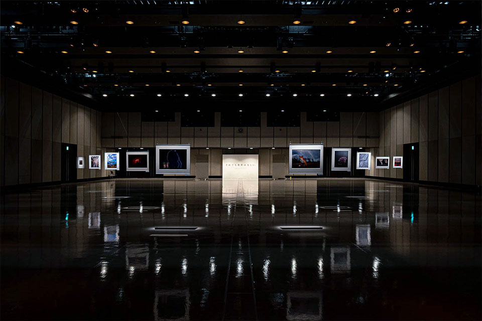 東京カメラ部2020写真展