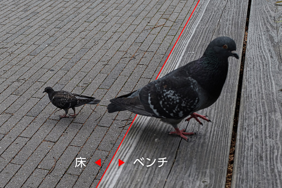 東京カメラ部「【東京カメラ部2023写真展】カウントダウントークショー「愛おしきこの世界。」」