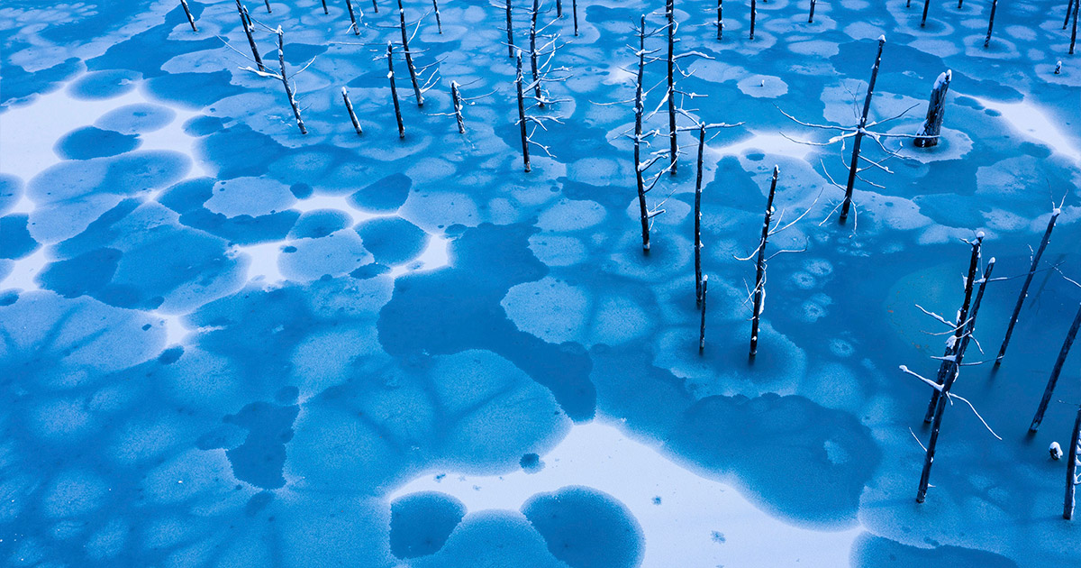 水島海衆、【初夏の美瑛富士】、希少な大判額装用画集より、美品 水島