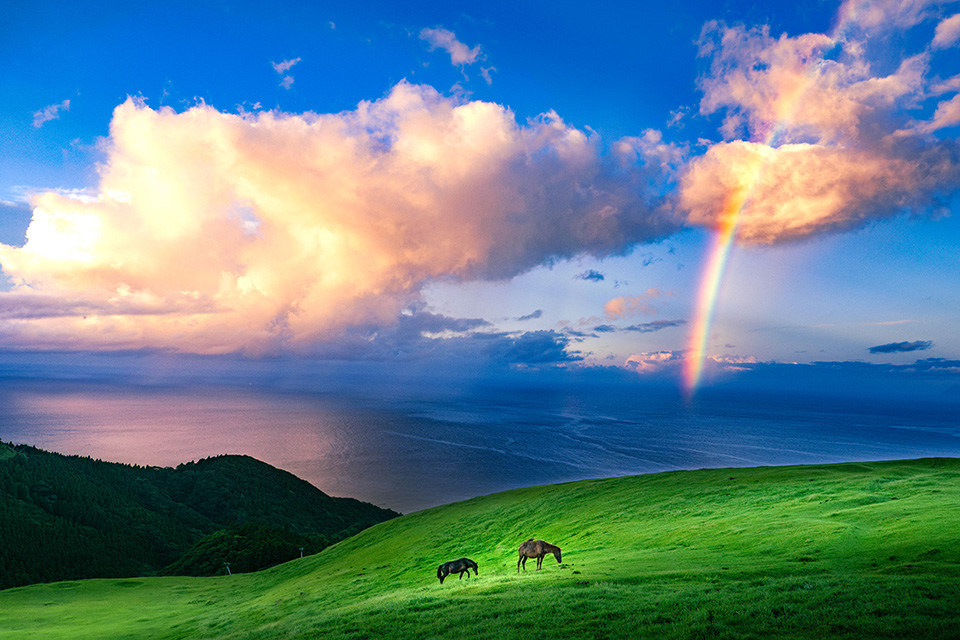 東京カメラ部【東京カメラ部2024写真展】カウントダウントークショー「この世界とともに。」