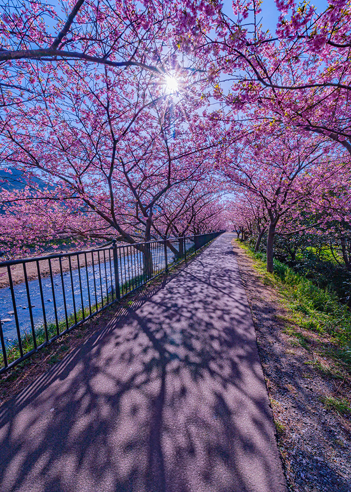 東京カメラ部【東京カメラ部2024写真展】カウントダウントークショー「この世界とともに。」