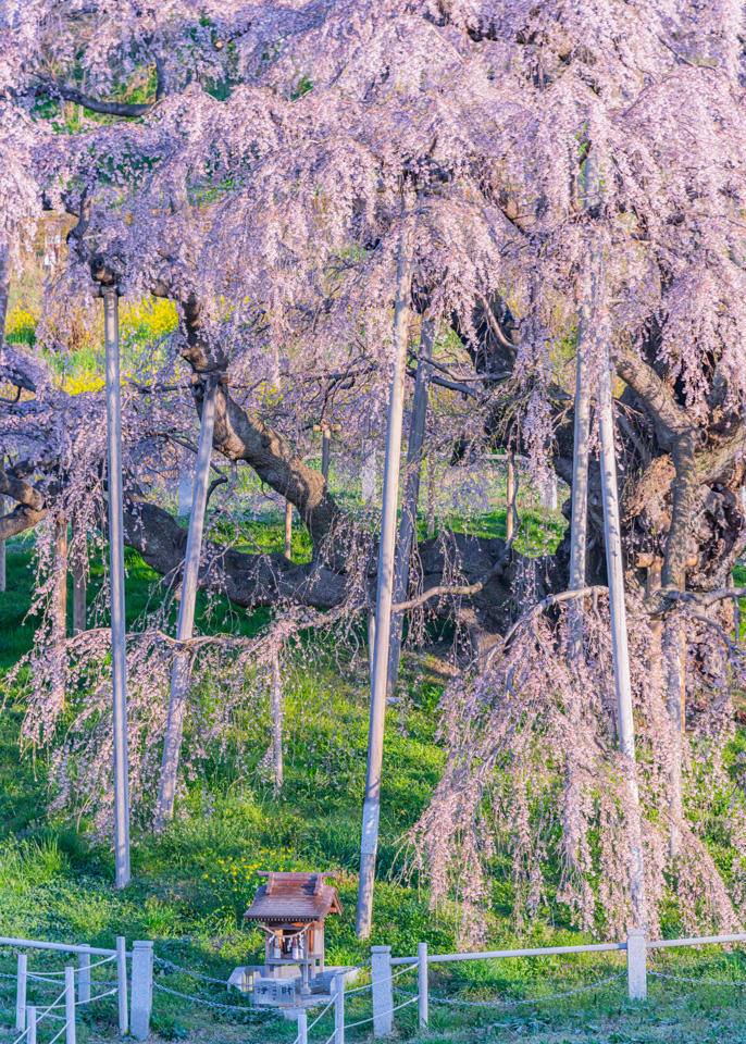 東京カメラ部【東京カメラ部2024写真展】カウントダウントークショー「この世界とともに。」