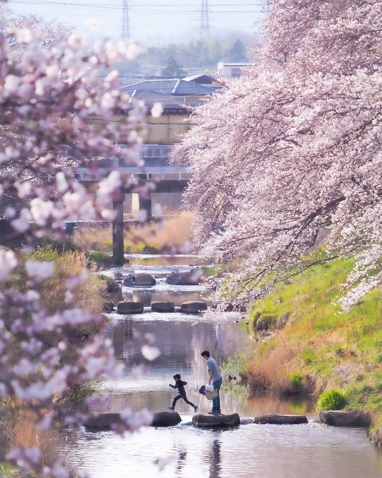 こおりやま広域圏「クローズアップこおりやま広域圏　〜伝えたい魅力〜」