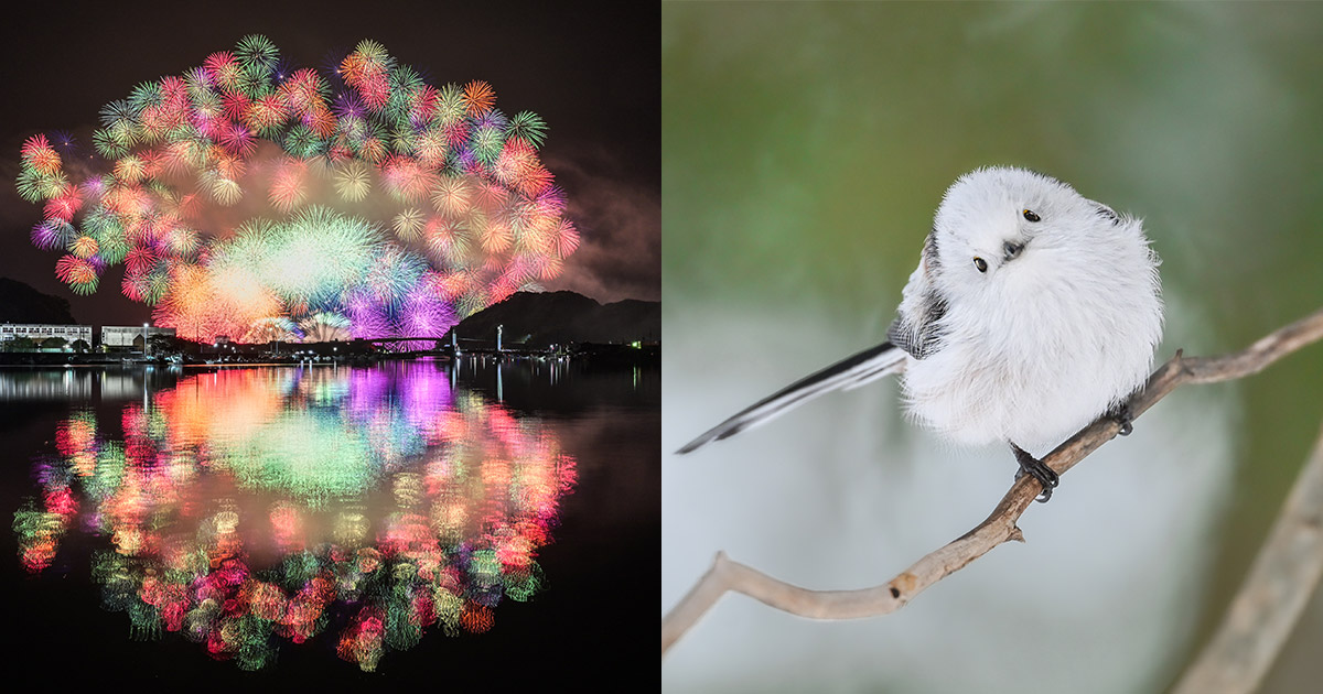 作品で感じるZシリーズの力～Nikon Creatorsが語る表現の舞台裏