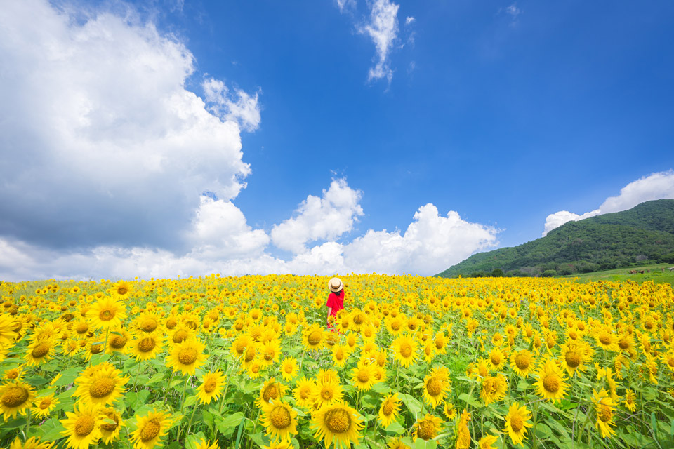 株式会社ニコンイメージングジャパン「Z6IIIが写す表現の進化～Nikon Creatorsが描く『自分らしさ』～」