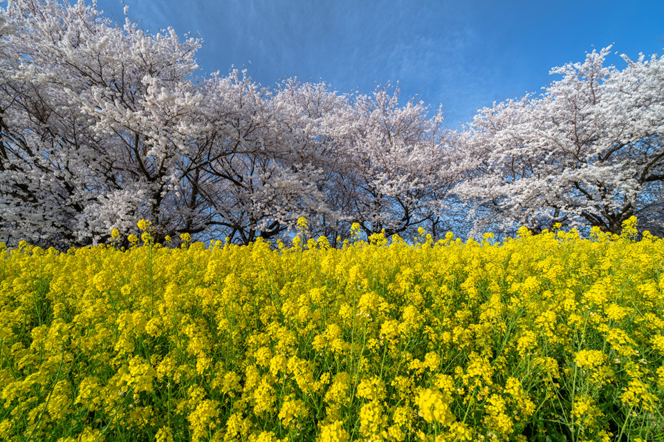 NiSi Filters Japan「作風の作り方：10選写真家が探る写真表現を深める方法」