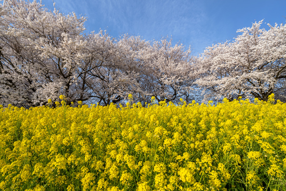 NiSi Filters Japan「作風の作り方：10選写真家が探る写真表現を深める方法」