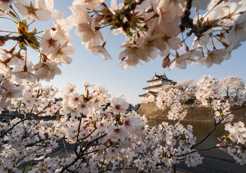 NiSi Filters Japan「作風の作り方：10選写真家が探る写真表現を深める方法」