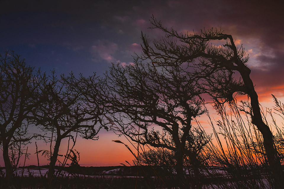 「地球探索鉄道 花咲線 世界的絶景を目撃する旅　─ presented by北海道 根室市 ─」