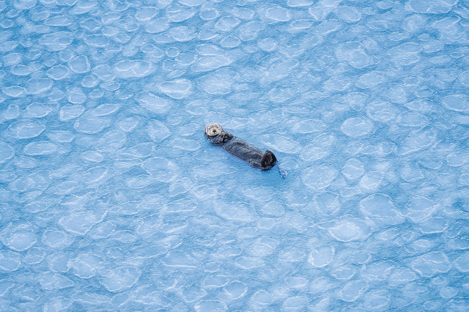 「地球探索鉄道 花咲線 世界的絶景を目撃する旅　─ presented by北海道 根室市 ─」