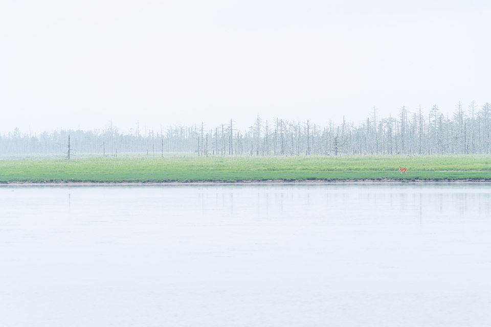 「地球探索鉄道 花咲線 世界的絶景を目撃する旅　─ presented by北海道 根室市 ─」