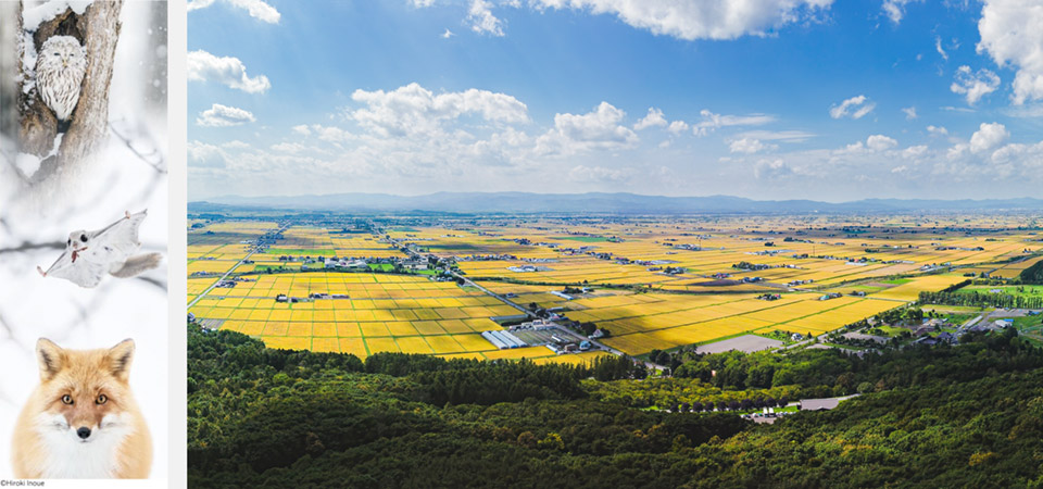 「オクルヒガシカワ」東川町・ひがしかわ観光協会