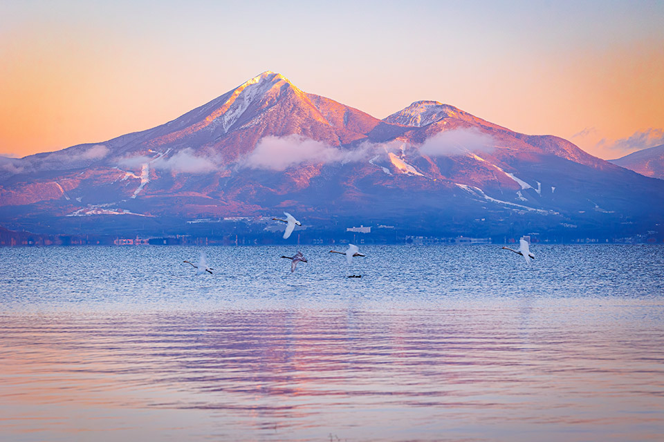 こおりやま広域圏「クローズアップこおりやま広域圏　〜伝えたい魅力〜」