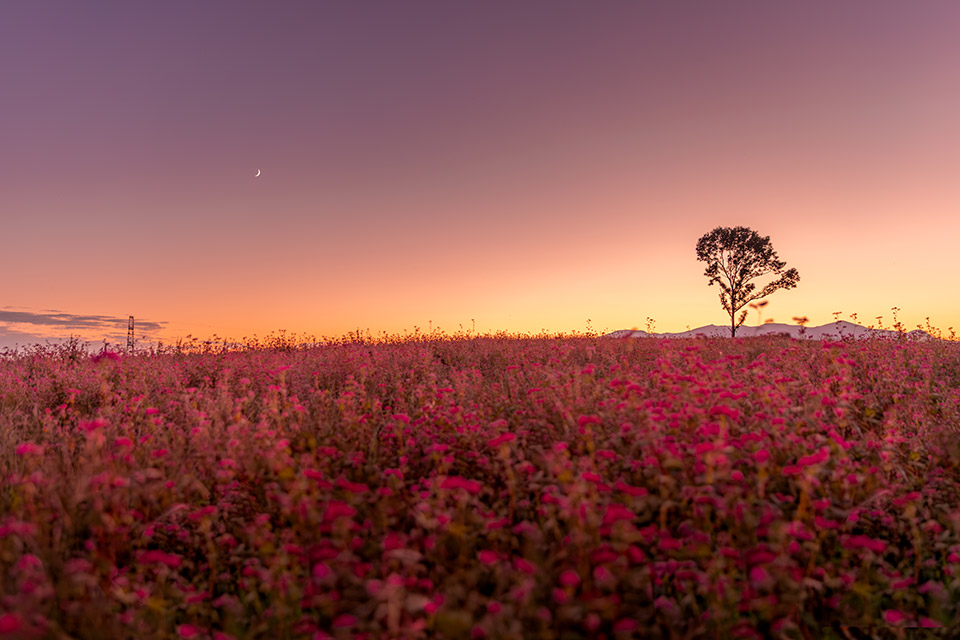 こおりやま広域圏「クローズアップこおりやま広域圏　〜伝えたい魅力〜」