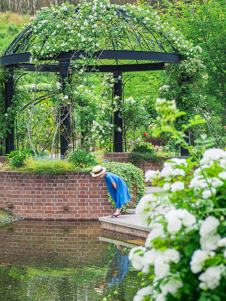 こおりやま広域圏「クローズアップこおりやま広域圏　〜伝えたい魅力〜」