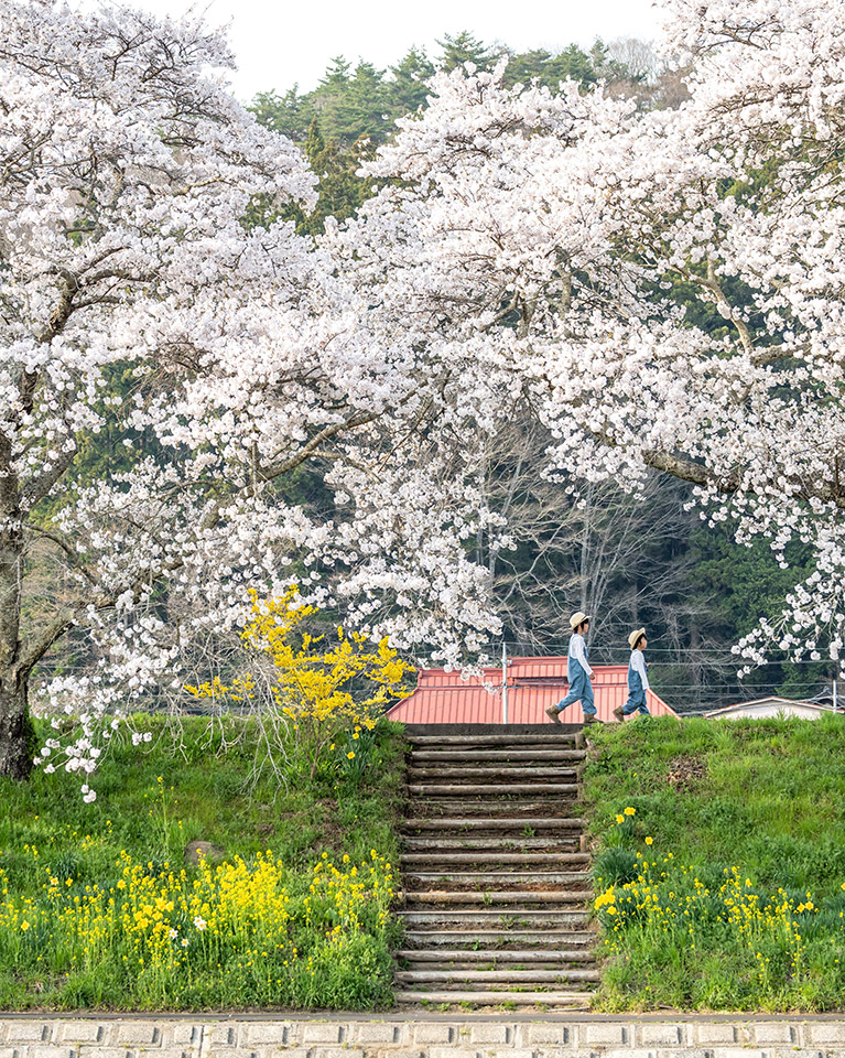 こおりやま広域圏「クローズアップこおりやま広域圏　〜伝えたい魅力〜」