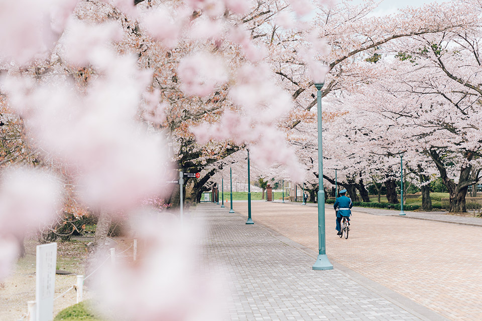 こおりやま広域圏「クローズアップこおりやま広域圏　〜伝えたい魅力〜」