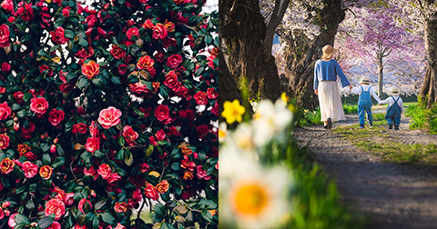 クローズアップこおりやま広域圏　〜伝えたい魅力〜