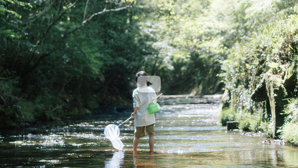 nabefilm011さんの作品「風物語」