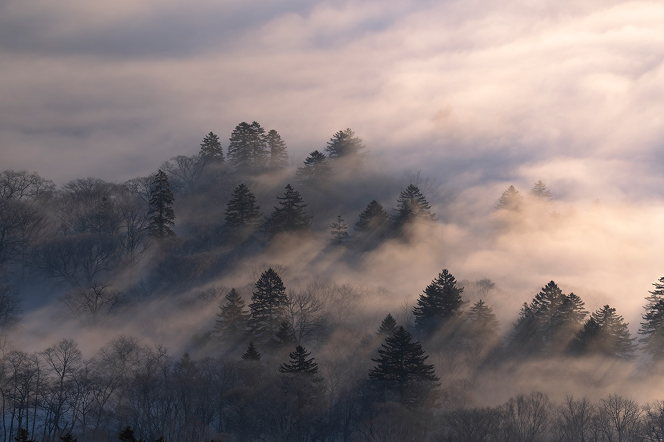 美幌町・美幌峠の「冬の雲海と日の出」の作品