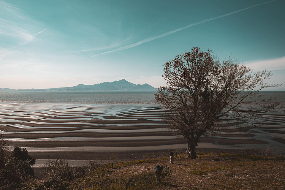 「御輿来海岸」の作品