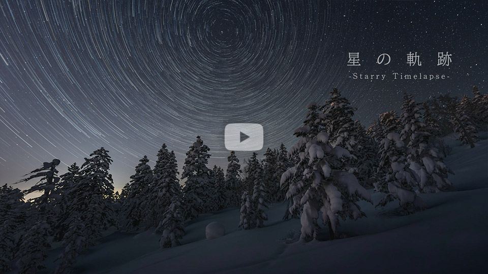 松本一樹さんの作品「星の軌跡-Starry timelapse-」